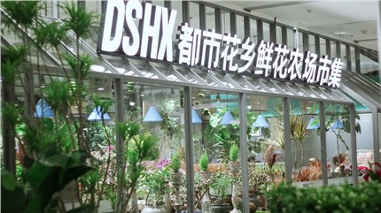 【都市花鄉(xiāng)】植耕長(zhǎng)沙22年，讓人們的生活更加美好